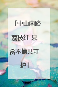 中山南路荔枝红 只赏不摘共守护