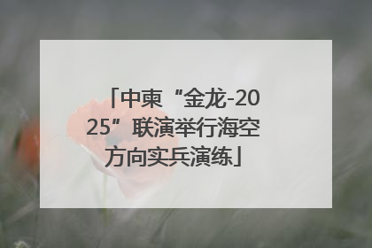 中柬“金龙-2025”联演举行海空方向实兵演练