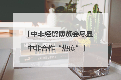 中非经贸博览会尽显中非合作“热度”