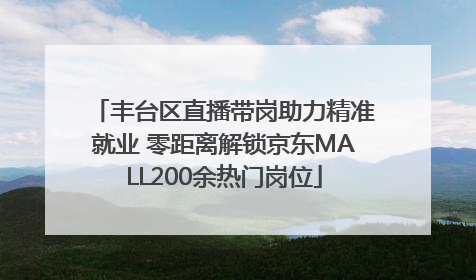 丰台区直播带岗助力精准就业 零距离解锁京东MALL200余热门岗位