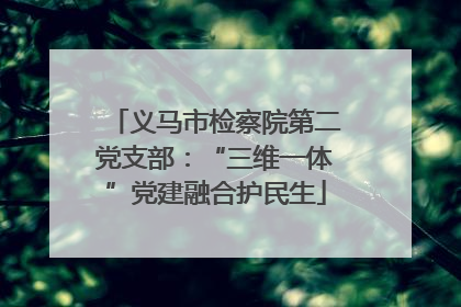 义马市检察院第二党支部：“三维一体”党建融合护民生