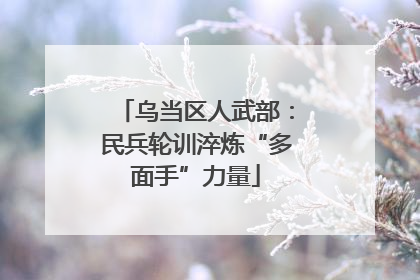 乌当区人武部：民兵轮训淬炼“多面手”力量