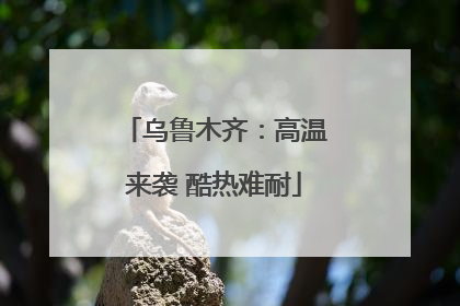乌鲁木齐：高温来袭 酷热难耐