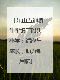 乐山五通桥牛华镇二码头小学：适应与成长，助力新启航