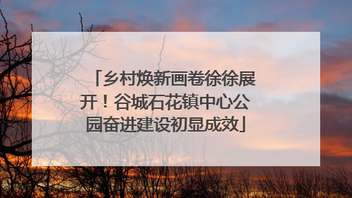 乡村焕新画卷徐徐展开！谷城石花镇中心公园奋进建设初显成效