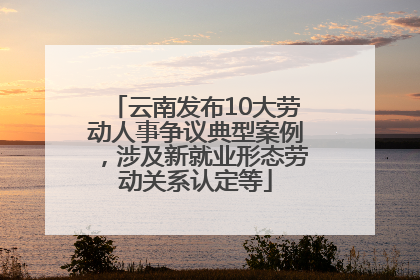 云南发布10大劳动人事争议典型案例，涉及新就业形态劳动关系认定等
