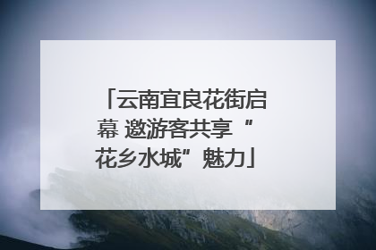 云南宜良花街启幕 邀游客共享“花乡水城”魅力
