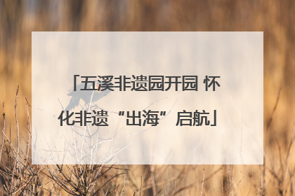 五溪非遗园开园 怀化非遗“出海”启航