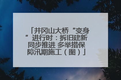 井冈山大桥“变身”进行时：拆旧建新同步推进 多举措保障汛期施工（图）