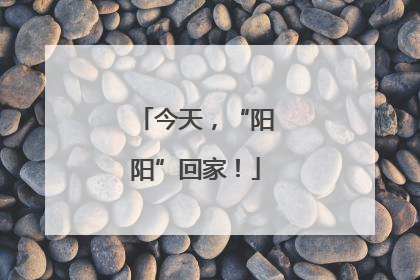 今天，“阳阳”回家！