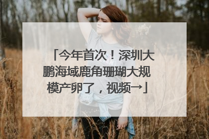今年首次！深圳大鹏海域鹿角珊瑚大规模产卵了，视频→
