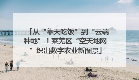 从“靠天吃饭”到“云端种地”！莱芜区“空天地网”织出数字农业新图景