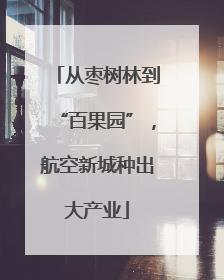 从枣树林到“百果园”，航空新城种出大产业