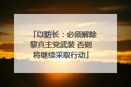 以防长：必须解除黎真主党武装 否则将继续采取行动
