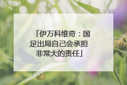 伊万科维奇：国足出局自己会承担非常大的责任