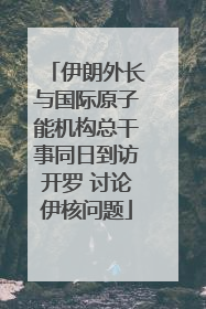 伊朗外长与国际原子能机构总干事同日到访开罗 讨论伊核问题