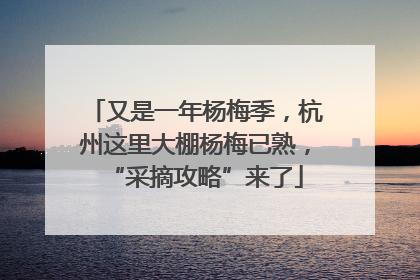 又是一年杨梅季，杭州这里大棚杨梅已熟，“采摘攻略”来了