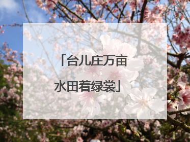 台儿庄万亩水田着绿裳