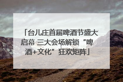 台儿庄首届啤酒节盛大启幕 三大会场解锁“啤酒+文化”狂欢矩阵