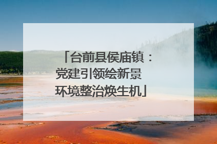 台前县侯庙镇：党建引领绘新景 环境整治焕生机
