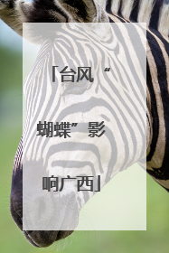 台风“蝴蝶”影响广西