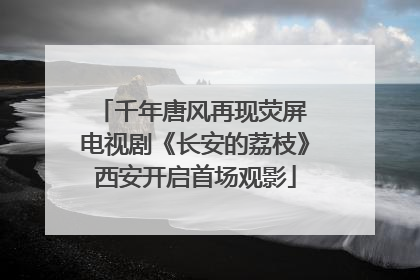 千年唐风再现荧屏 电视剧《长安的荔枝》西安开启首场观影