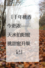 千年桃香今更浓——天水伯阳蜜桃甜蜜升级记