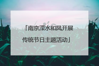 南京溧水和凤开展传统节日主题活动