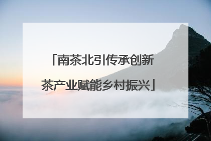 南茶北引传承创新 茶产业赋能乡村振兴
