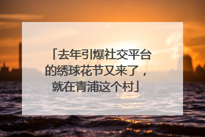 去年引爆社交平台的绣球花节又来了，就在青浦这个村