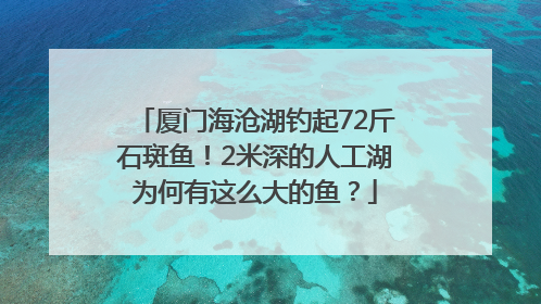 厦门海沧湖钓起72斤石斑鱼！2米深的人工湖为何有这么大的鱼？