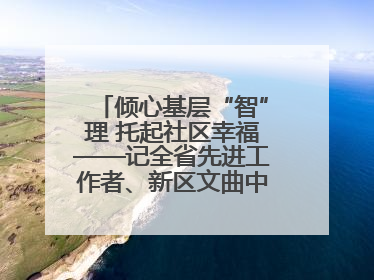 倾心基层“智”理 托起社区幸福——记全省先进工作者、新区文曲中心社区党委书记董世弘