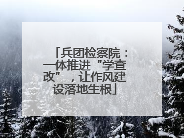 兵团检察院：一体推进“学查改”，让作风建设落地生根