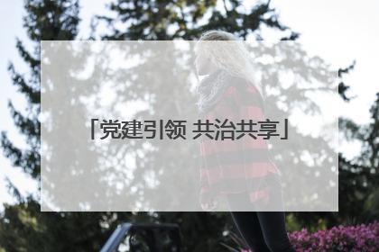 党建引领 共治共享