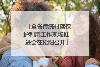 全省传统村落保护利用工作现场推进会在松阳召开