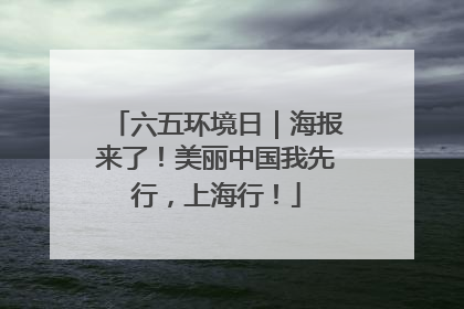 六五环境日｜海报来了！美丽中国我先行，上海行！
