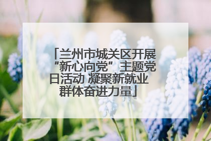 兰州市城关区开展“新心向党”主题党日活动 凝聚新就业群体奋进力量
