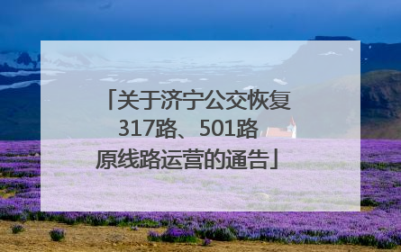 关于济宁公交恢复317路、501路原线路运营的通告