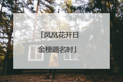 凤凰花开日 金榜题名时
