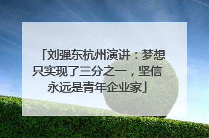 刘强东杭州演讲：梦想只实现了三分之一，坚信永远是青年企业家