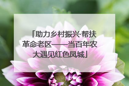 助力乡村振兴·帮扶革命老区——当百年农大遇见红色凤城