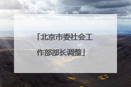 北京市委社会工作部部长调整