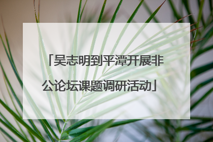 吴志明到平潭开展非公论坛课题调研活动