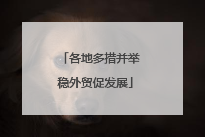 各地多措并举稳外贸促发展