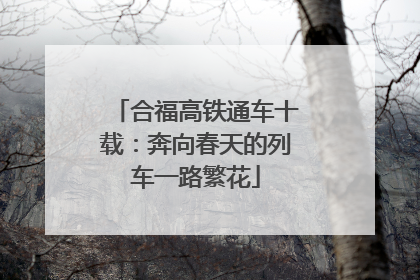 合福高铁通车十载：奔向春天的列车一路繁花