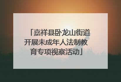 嘉祥县卧龙山街道开展未成年人法制教育专项视察活动