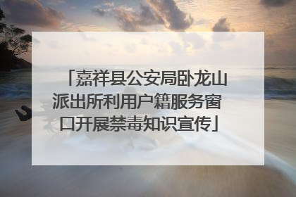 嘉祥县公安局卧龙山派出所利用户籍服务窗口开展禁毒知识宣传