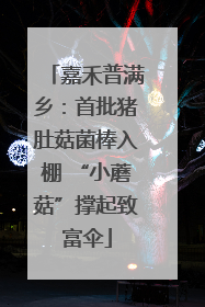 嘉禾普满乡：首批猪肚菇菌棒入棚 “小蘑菇”撑起致富伞