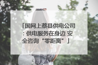 国网上蔡县供电公司：供电服务在身边 安全咨询“零距离”