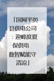 国网平舆县供电公司：迎峰度夏保供电  数智赋能守清凉